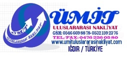 Logo Yok