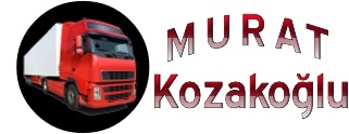 Logo Yok