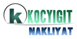 Logo Yok