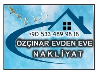 Logo Yok