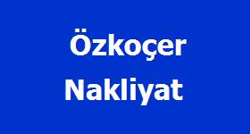 Logo Yok