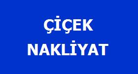 Logo Yok