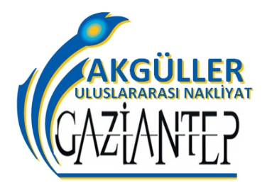 Logo Yok