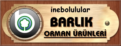 Logo Yok